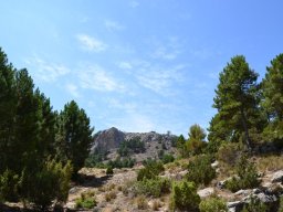 Valle de Leiva-Perdiz 2010